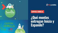 Capital Semilla Inicia y Semilla Expande: ¿Cómo postular para recibir hasta $45 millones y cuáles son sus requisitos?