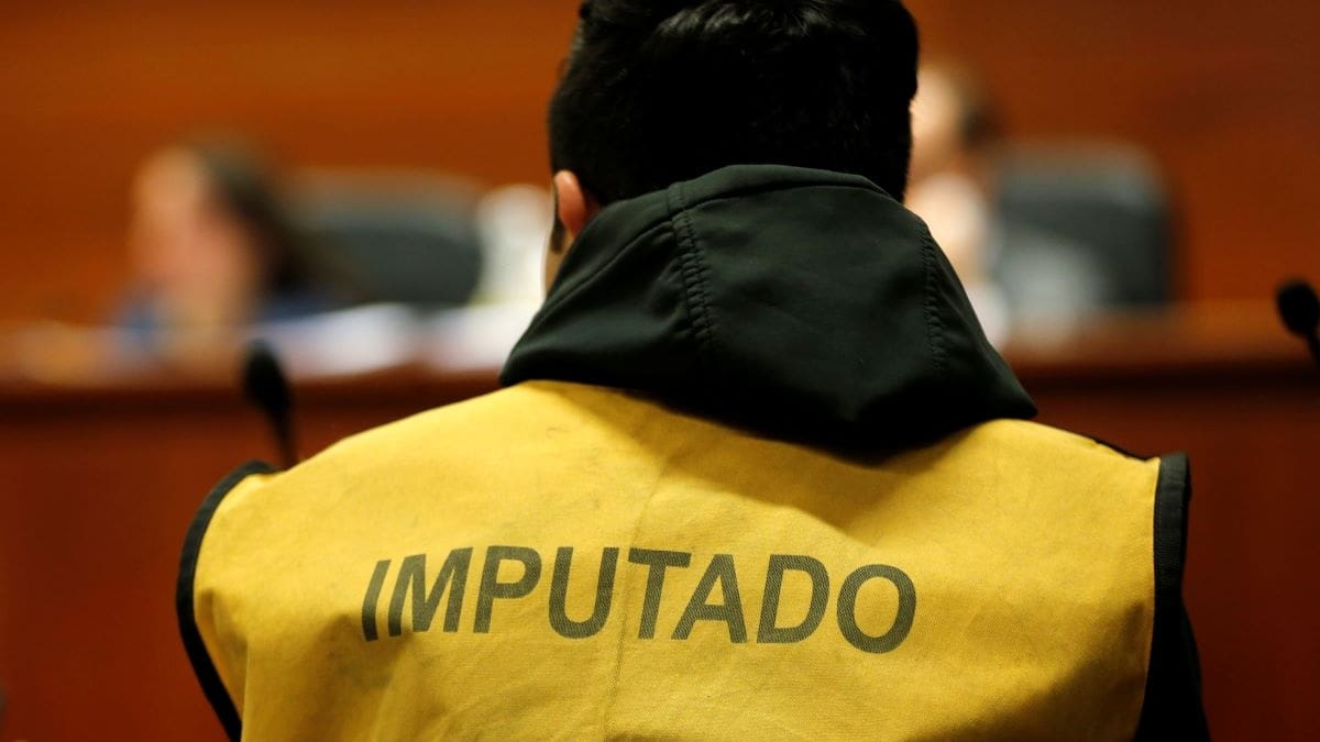 Presunto dueño de jauría que atacó mortalmente a una mujer fue formalizado en Valparaíso