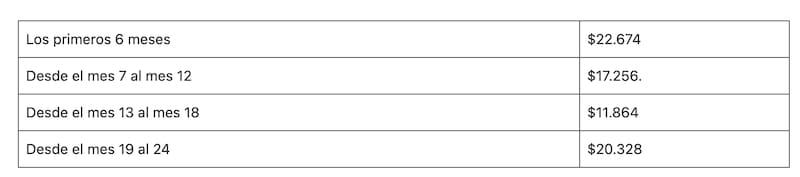 Así se entregan los pagos del Bono Protección o Bono Dueña de Casa.