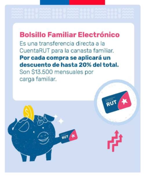 El aporte se comienza a entregar en mayo. Créditos: Gobierno