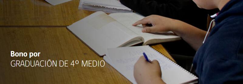 Revisa si tienes montos pendientes. Créditos: Ministerio de Desarrollo Social y Familia.