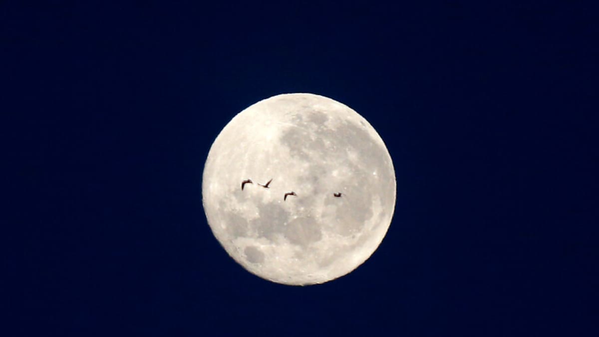 ¡Gran descubrimiento!: Hallan agua en superficie lunar iluminada por el Sol