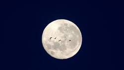 ¡Gran descubrimiento!: Hallan agua en superficie lunar iluminada por el Sol