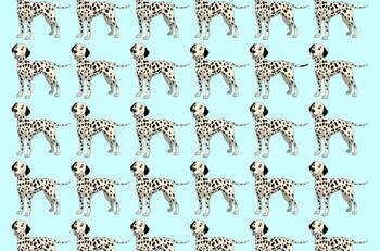 Test Visual: ¿Eres capaz de encontrar al perro dálmata diferente en la imagen en solo 20 segundos?