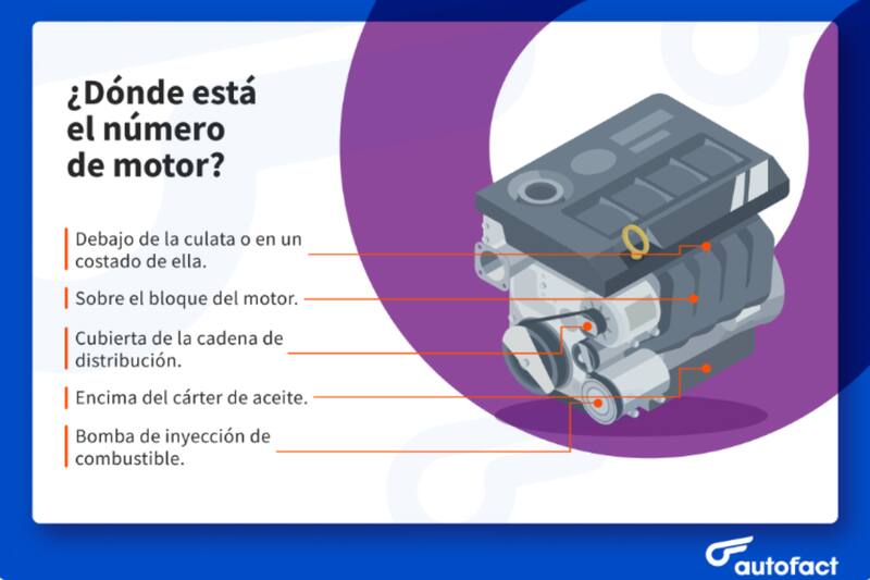 Aquí puedes revisar el número de identificación.