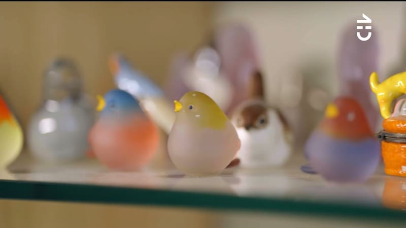 está llena de colecciones.