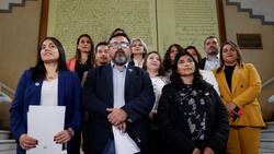¿Crisis en el PDG? Directiva reconoció quiebre luego que 4 de sus diputados votaran por Vlado Mirosevic