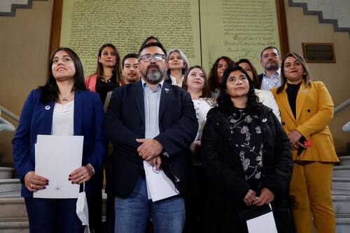 ¿Crisis en el PDG? Directiva reconoció quiebre luego que 4 de sus diputados votaran por Vlado Mirosevic