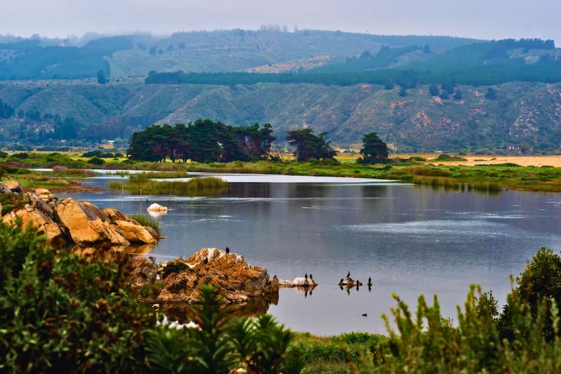 El panorama que llama a ser visitado durante estos días de clima favorable. Créditos: Santuario de La Naturaleza Humedal de Tunquén.