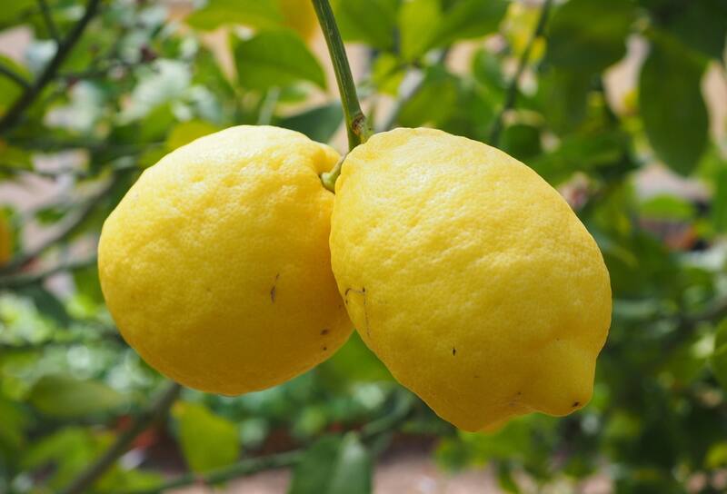 Conoce los diferentes beneficios que tiene esta fruta.