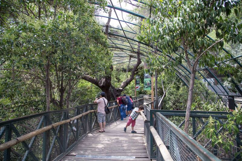 El parque tendrá entrada liberada durante la temporada de vacaciones de verano.