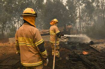 Hombre imputado por causar incendio forestal en Arauco quedó en libertad