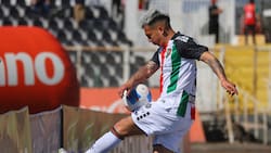 Entre bajas y dudas: el golpeado Palestino que recibirá a la U en La Cisterna