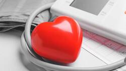 “Puede ser mortal...”: médico del Hospital Clínico de la U. de Chile advierte los riesgos del colesterol alto