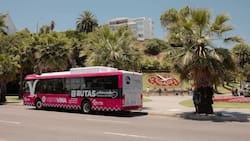 Bus turístico eléctrico de Viña del Mar: Horarios, recorrido y cómo reservar gratis un paseo