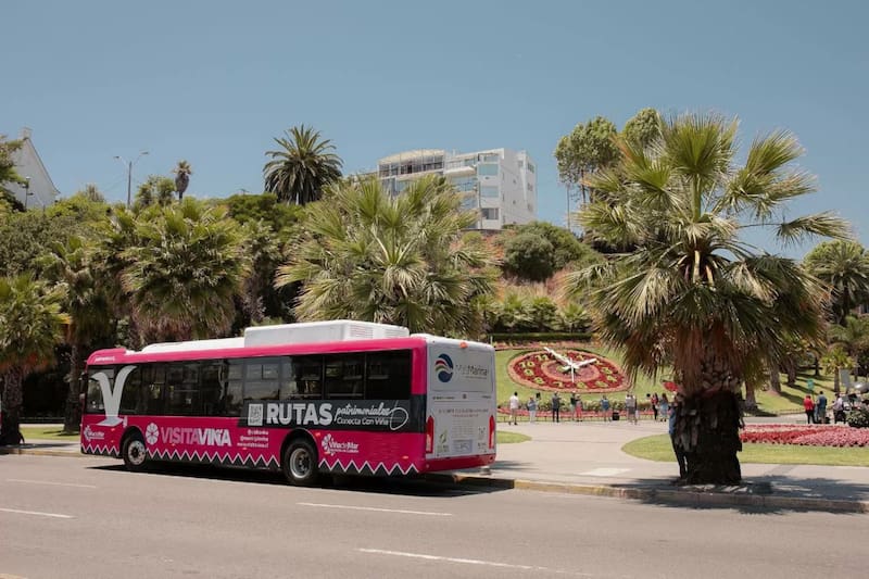 Es un excelente panorama para hacer durante la época de verano.
Créditos: Visita Viña.