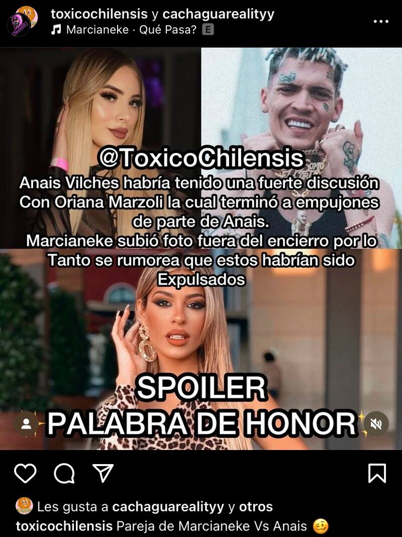 Anaís Vilches habría sido expulsada de "Palabra de Honor".