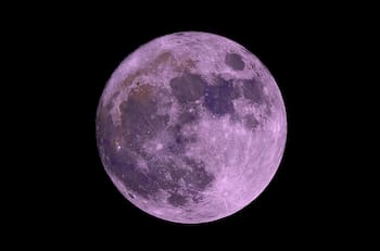 Este mes llega la Luna Rosa: esta es la fecha y hora en que podrás observarla en Chile