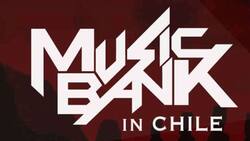 "Una rabia tremenda": Asistentes al Music Bank Chile expresan su molestia tras cancelación del evento por la fuerte lluvia