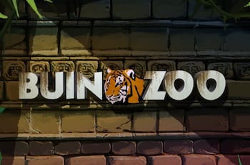 Obtén entradas al Buin Zoo por solo $8.300: esta caja de compensación tiene especial promoción a sus afiliados