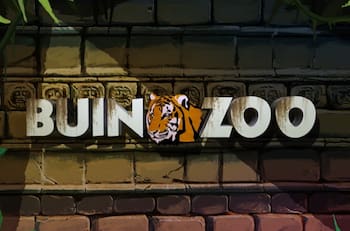 Afiliados a la Caja 18 pueden obtener entradas al Buin Zoo con un 36% de descuento