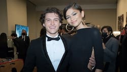 Tom Holland y Zendaya estarían confirmando su romance con esta salida