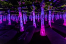 Dopamine Land: Todo lo que debes saber del panorama multisensorial que causa furor en redes sociales