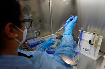 Alerta epidemiológica por "tifus de los matorrales" en el sur de Chile: ¿Qué es y cuáles son los síntomas?