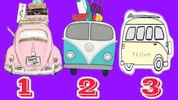 Test de personalidad: ¿Qué tipo de conductora eres?