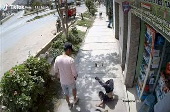 VIDEO | Perro bota sin querer a un niño y se devuelve a "pedirle disculpas"