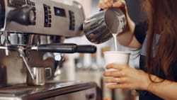 A pasos del metro Bellas Artes: Esta cafetería herbolaria ofrece el mejor matcha en Santiago