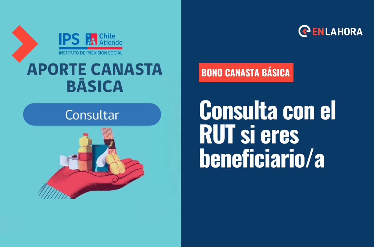 Subsidio Canasta Básica: Consulta con el RUT si eres beneficiario y cuál es el monto de pago