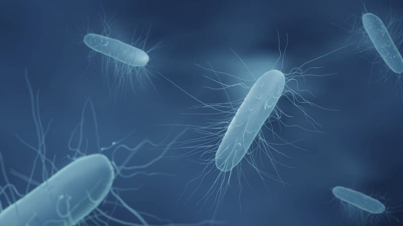 con presencia de Listeria fueron detectados en queso de cabeza de la marca San Pablo.