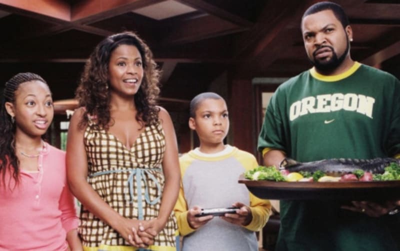 "Una Casa Patas Arriba" es una cinta estadounidense del 2007.