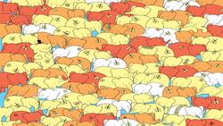 Acertijo visual: ¿Qué tan rápido puedes encontrar el corazón entre los elefantes?