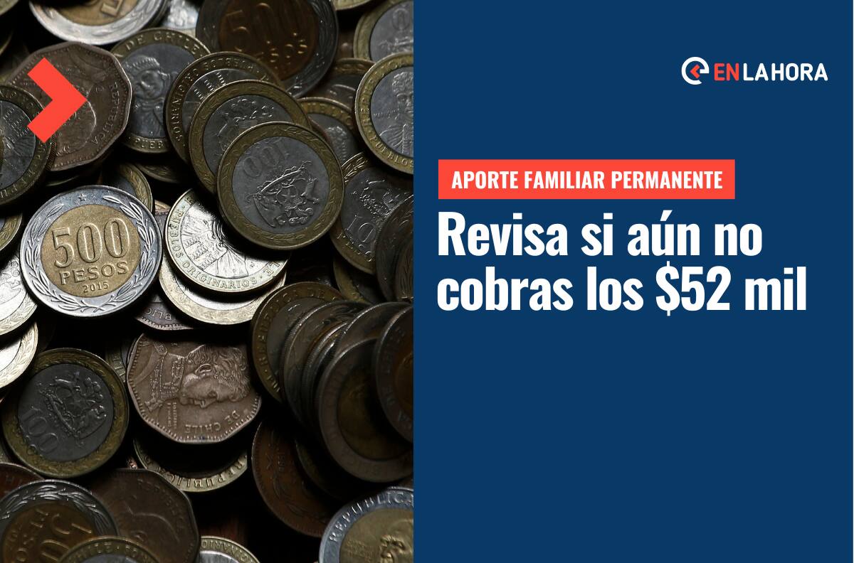 Aporte Familiar Permanente: Solo con tu RUT puedes saber si no has cobrado los $52 mil