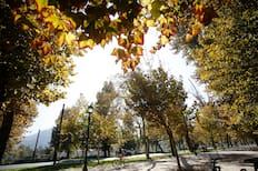 ¿Cuándo empieza el otoño en Chile? La fecha y hora exacta no es la que todos creen