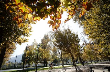 ¿Cuándo empieza el otoño en Chile? La fecha y hora exacta no es la que todos creen