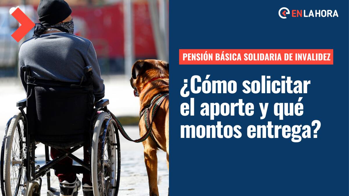 Pensión Básica Solidaria de Invalidez: Conoce cómo acceder al aporte y el nuevo monto que entrega