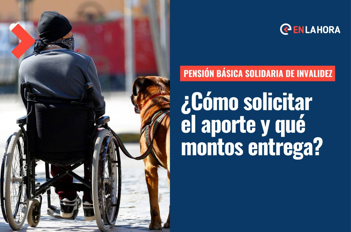 Pensión Básica Solidaria de Invalidez: Conoce cómo acceder al aporte y el nuevo monto que entrega