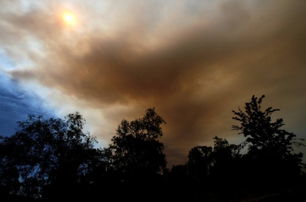 Incendio forestal: Senapred decretó Alerta Roja para El Carmen y San Ignacio