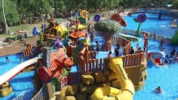 Parque Acuático Oasis a una hora de Santiago: La mejor opción para despedir las vacaciones de verano junto a la familia