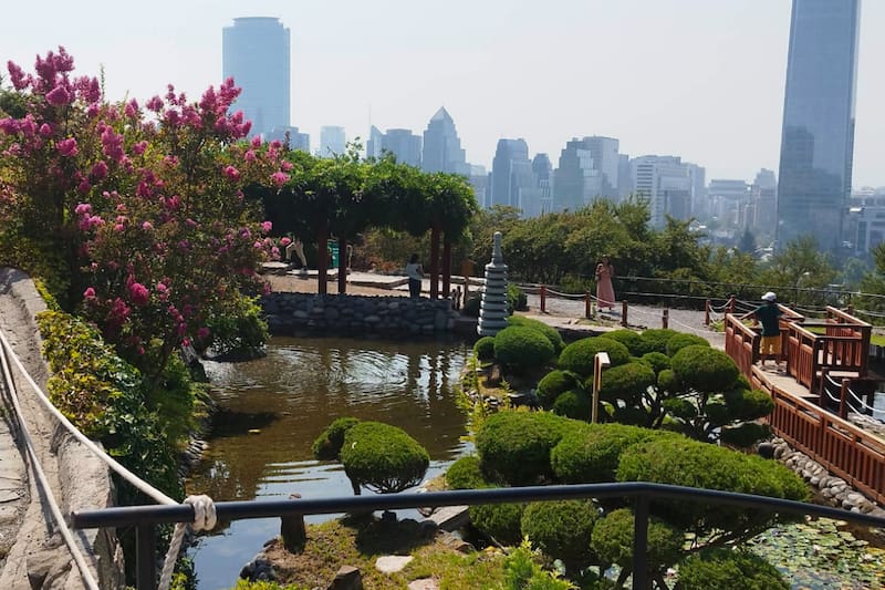 El espacio es hogar de cientos de especies de flora nativa nipona, como el bambú y las flores de loto. Créditos: Google Maps.