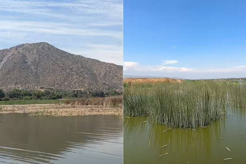 Conoce su ubicación. Créditos: @viajero.errante