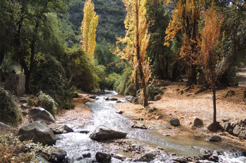 Uno de los principales atractivos del lugar es el estéro, que rodea el parque. Créditos: Santuario de la Naturaleza El Arrayán.