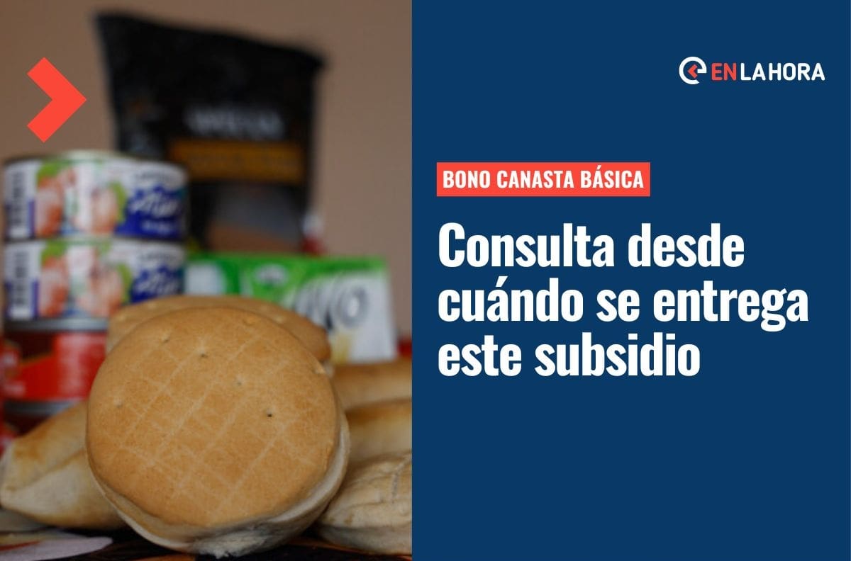 Subsidio Canasta Básica: ¿Cuándo será la primera fecha de pago y cómo postular a este beneficio?