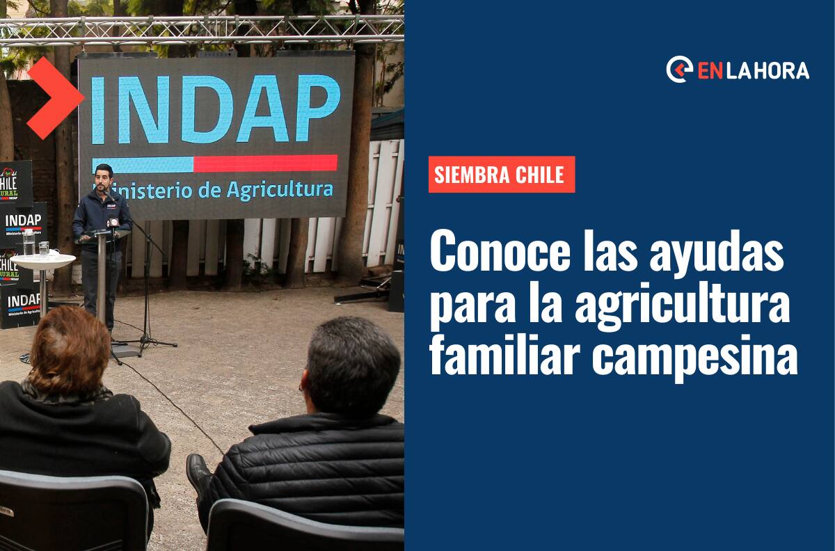 Siembra Chile: ¿En qué consiste este proyecto del Gobierno que busca ayudar a los agricultores?