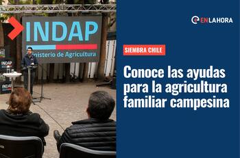 Siembra Chile: ¿En qué consiste este proyecto del Gobierno que busca ayudar a los agricultores?