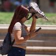 Este será el día más caluroso de la semana en Santiago: se esperan más de 30 °C