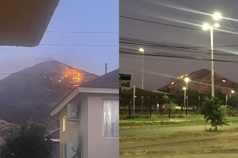 Encienden alertas en Valle Lo Campino por incendio forestal en cercanías.